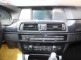 BMW 5 Series 523i 2010 - Cần bán gấp BMW 523i đời 2010, màu bạc, nhập khẩu