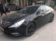 Hyundai Sonata Y20 2010 - Bán Hyundai Sonata Y20 đời 2010, màu đen, xe nhập, giá tốt