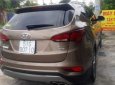 Hyundai Santa Fe 2017 - Bán Hyundai Santa Fe đời 2017, màu nâu