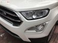 Ford EcoSport Titanium 1.0 EcoBoost 2018 - Bán xe Ford EcoSport Titanium 1.0 EcoBoost 2018, màu trắng, giá 660tr