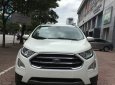 Ford EcoSport Ecosport 1.0l Ecoboost 2018 - Bán Ford EcoSport ecosport 1.0l ecoboost đời 2018, màu trắng, giá 660tr hỗ trợ ngân hàng, giao xe toàn quốc