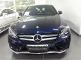 Mercedes-Benz C class 2017 - Bán Mercedes-Benz C300 cũ 2019, giá tốt nhất trong tháng