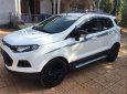 Ford EcoSport 2016 - Bán Ford EcoSport đời 2016, màu trắng, nhập khẩu 
