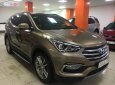 Hyundai Santa Fe 2017 - Bán xe Hyundai Santa Fe đời 2017, màu nâu, chính chủ