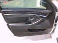 BMW 5 Series 523i 2010 - Cần bán gấp BMW 523i đời 2010, màu bạc, nhập khẩu