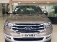 Ford Everest Titanium 4x2 2018 - Bán ô tô Ford Everest Titanium 4x2 năm sản xuất 2018, nhập khẩu nguyên chiếc, lh 0989022295 tại Bắc Giang