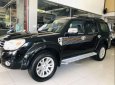 Ford Everest 2013 - Bán Ford Everest đời 2013, màu đen