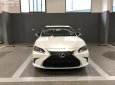 Lexus ES 250 2018 - Bán Lexus ES 250 đời 2018, màu trắng, nhập khẩu