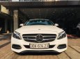 Mercedes-Benz C class C200 2015 - Bán Mercedes C200 2015, màu trắng cực mới