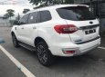 Ford Everest Titanium  2018 - Cần bán Ford Everest Titanium đời 2019, màu trắng, nhập khẩu 