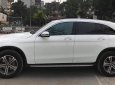 Mercedes-Benz GLC-Class GLC250 2017 - Bán xe Mercedes GLC250 trắng 2017 chính hãng. Trả trước 800 triệu nhận xe ngay