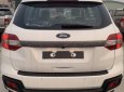 Ford Everest Ambiente AT 2018 - Bán xe Ford Everest 1 cầu, số sàn, đời 2018, xe nhập 100%, giá tốt, khuyến mãi gói phụ kiện, LH 0989022295 tại Bắc Ninh