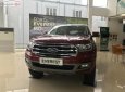 Ford Everest Trend 2.0L 4x2 AT 2018 - Cần bán Ford Everest Trend 2.0L 4x2 AT đời 2019, màu đỏ, nhập khẩu