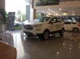 Ford EcoSport Titanium 1.5 AT 2018 - Ford EcoSport - tặng bảo hiểm thân vỏ tặng phụ kiện đi kèm