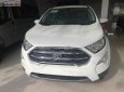 Ford EcoSport Titanium 1.0 EcoBoost 2018 - Bán Ford EcoSport Titanium 1.0 EcoBoost năm sản xuất 2018, màu trắng