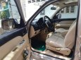 Ford Everest  2.5 AT  2009 - Bán Ford Everest 2.5 AT 2009, xe nhập, 465 triệu