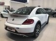 Volkswagen New Beetle 2018 - Volkswagen Beetle Dune nhập khẩu, hỗ trợ vay 80%