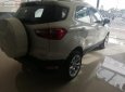 Ford EcoSport Titanium 1.0 EcoBoost 2018 - Bán Ford EcoSport Titanium 1.0 EcoBoost năm sản xuất 2018, màu trắng