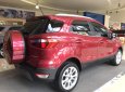 Ford EcoSport Titanium 1.5L AT 2018 - Bán xe Ford EcoSport 2018, khuyến mãi: BHVC, phim, camera, bệ bước, che mưa, lót sàn simili, bọc trần,... LH: 093.5437595