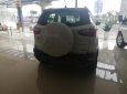 Ford EcoSport Titanium 1.0 EcoBoost 2018 - Bán Ford EcoSport Titanium 1.0 EcoBoost năm sản xuất 2018, màu trắng