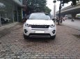 LandRover Discovery Discovery HSE Luxury Sport  2015 - Bán ô tô LandRover Discovery Discovery HSE Luxury Sport đời 2016, màu trắng, nhập khẩu nguyên chiếc