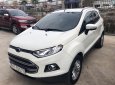 Ford EcoSport Titanium 1.5L AT 2016 - Bán ô tô Ford EcoSport Titanium 1.5L AT sản xuất năm 2016, màu trắng, odo 300000 km