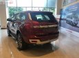 Ford Everest 2.0 Turbo 2018 - Bán Everest 2018 đang về hoàn toàn mới