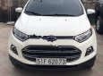 Ford EcoSport Titanium 1.5L AT 2016 - Bán ô tô Ford EcoSport Titanium 1.5L AT sản xuất năm 2016, màu trắng, odo 300000 km