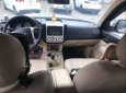 Ford Everest MT 2008 - Bán xe Ford Everest MT 2008, màu bạc, 379tr