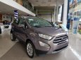 Ford EcoSport   2018 - Bán Ford EcoSport sản xuất năm 2018, màu xám