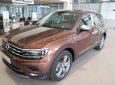 Volkswagen Tiguan 2018 - Bán ô tô 7 chỗ gầm cao đời 2018, nhập từ Đức, có xe giao ngay, vay 85%