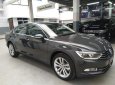 Volkswagen Passat 2018 - Bán xe 5 chỗ nhập Đức đời 2018, sang, đẹp, bảo dưỡng rẻ, vay 85%