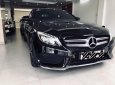 Mercedes-Benz C class C300 AMG 2016 - Bán xe Mercedes C300AMG 2016