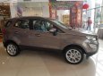 Ford EcoSport Titanium 2018 - Bán xe Ecosport 2018 hoàn toàn mới