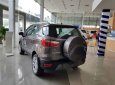 Ford EcoSport   2018 - Bán Ford EcoSport sản xuất năm 2018, màu xám