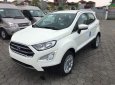 Ford EcoSport 2018 - Cần bán xe Ford EcoSport đời 2018, màu trắng