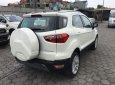 Ford EcoSport 2018 - Cần bán xe Ford EcoSport đời 2018, màu trắng