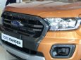 Ford Ranger Wildtrak  2018 - Cần bán xe Ford Ranger Wildtrak đời 2019, xe nhập