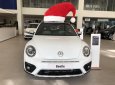 Volkswagen Beetle Dune 2018 - Bán ô tô Volkswagen Beetle Dune năm 2018, xe nhập chính hãng, xe mới giao ngay. LH 0931 878 379