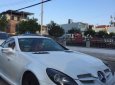 Mercedes-Benz SLK class  280   2008 - Bán xe Mercedes SLK280 2008, màu trắng, nhập khẩu