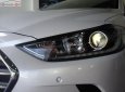 Hyundai Elantra 1.6 AT 2018 - Bán Hyundai Elantra 1.6 AT đời 2018, màu trắng, 630tr