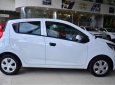 Chevrolet Spark  Duo 2018 - Cần bán xe Chevrolet Spark Duo đời 2018, màu trắng, giá 259tr