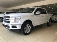 Ford F 150 Platinum 2019 - Giao ngay Ford F 150 Platinum 2019 xuất Mỹ, mới 100% 