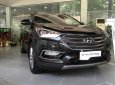 Hyundai Santa Fe 2018 - Bán xe Hyundai Santa Fe 2018, màu đen