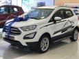 Ford EcoSport    2018 - Bán Ford EcoSport năm 2018, màu trắng, giá chỉ 613 triệu