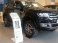 Ford Everest Trend 2.0L 4x2 AT 2019 - Bán ô tô Ford Everest Trend 2.0L 4x2 AT đời 2019, màu đen, xe nhập