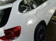 BMW X1 2010 - Bán xe BMW X1 năm sản xuất 2010, màu trắng, xe nhập