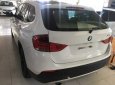 BMW X1 2010 - Bán ô tô BMW X1 2010 Tự động sản xuất 2010, 615 triệu