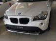 BMW X1 2010 - Bán ô tô BMW X1 2010 Tự động sản xuất 2010, 615 triệu