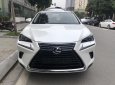 Lexus NX 2018 - Bán Lexus NX300 sản xuất 2018 màu trắng, giao ngay